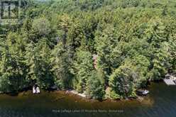 19687 KAWAGAMA NORTH SHORE | Lake of Bays Ontario | Slide Image Thirty-five