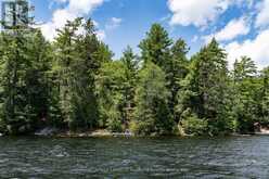 19687 KAWAGAMA NORTH SHORE | Lake of Bays Ontario | Slide Image Thirty-seven