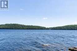 19687 KAWAGAMA NORTH SHORE | Lake of Bays Ontario | Slide Image Thirty-eight