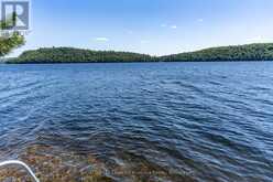 19687 KAWAGAMA NORTH SHORE | Lake of Bays Ontario | Slide Image Thirty-nine