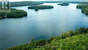 58 SKYLINE DRIVE | Armour Ontario | Slide Image Three