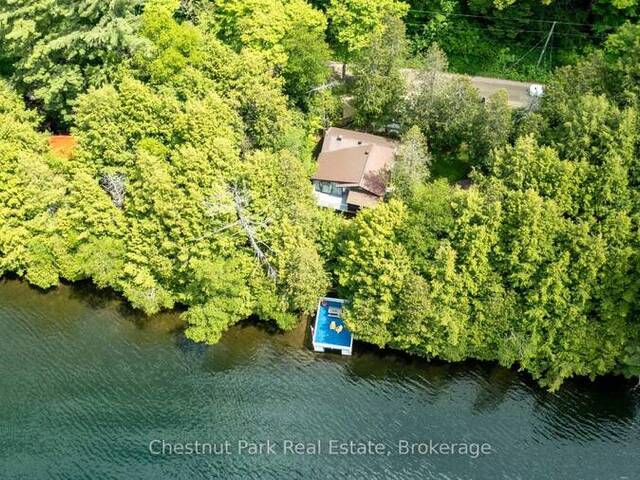 58 SKYLINE DRIVE Armour Ontario, P0A 1L0 - 2 Bedrooms Waterfront Home For sale