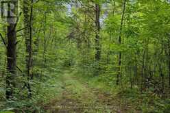 938400 AIRPORT ROAD | Mulmur Ontario | Slide Image Forty-eight