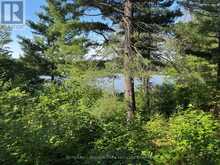 7 BOURBONNAISE ISLAND | Parry Sound Ontario | Slide Image Two