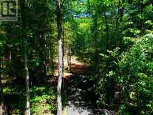 LOT 6 FAIRY FALLS ROAD | Baysville Ontario | Slide Image One