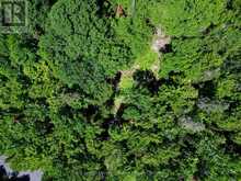 LOT 6 FAIRY FALLS ROAD | Baysville Ontario | Slide Image Three