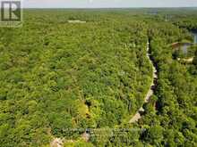 LOT 6 FAIRY FALLS ROAD | Baysville Ontario | Slide Image Six
