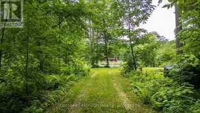 1068 HARTLEY ROAD | Gravenhurst Ontario | Slide Image Thirty-eight