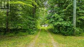 1068 HARTLEY ROAD | Gravenhurst Ontario | Slide Image Forty