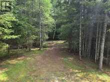 737 HILL AND GULLY ROAD | Magnetawan Ontario | Slide Image Twenty-two