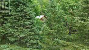 737 HILL AND GULLY ROAD | Magnetawan Ontario | Slide Image Thirty-eight