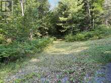 558 518 HIGHWAY | Seguin Ontario | Slide Image Fifty