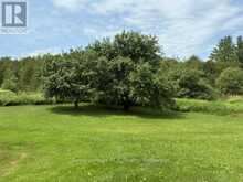 382162 CONCESSION 17 ROAD E | Georgian Bluffs Ontario | Slide Image Thirty-four