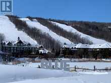 157 - 220 GORD CANNING DRIVE | The Blue Mountains Ontario | Slide Image Eighteen
