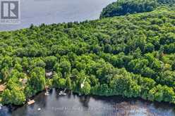 0 ALICE DRIVE | Lake of Bays Ontario | Slide Image Ten