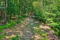 0 ALICE DRIVE | Lake of Bays Ontario | Slide Image Fourteen