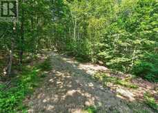 0 ALICE DRIVE | Lake of Bays Ontario | Slide Image Fifteen