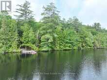 0 ALICE DRIVE | Lake of Bays Ontario | Slide Image Twenty-six