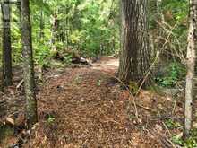 0 ALICE DRIVE | Lake of Bays Ontario | Slide Image Thirty-one