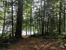 0 ALICE DRIVE | Lake of Bays Ontario | Slide Image Thirty-two