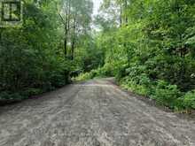 0 ALICE DRIVE | Lake of Bays Ontario | Slide Image Thirty-three