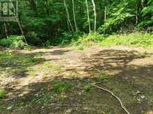 0 ALICE DRIVE | Lake of Bays Ontario | Slide Image Thirty-four