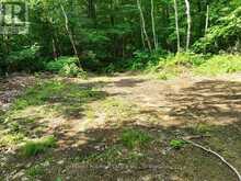 0 ALICE DRIVE | Lake of Bays Ontario | Slide Image Thirty-five