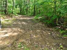 0 ALICE DRIVE | Lake of Bays Ontario | Slide Image Thirty-six