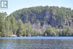 0 ALICE DRIVE | Lake of Bays Ontario | Slide Image Thirty-seven