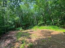 0 ALICE DRIVE | Lake of Bays Ontario | Slide Image Forty-two