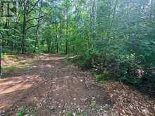 0 ALICE DRIVE | Lake of Bays Ontario | Slide Image Forty-three