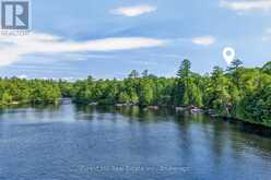 0 ALICE DRIVE | Lake of Bays Ontario | Slide Image Nine