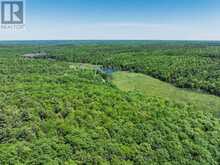 0 BRADY LAKE ROAD | Minden Hills Ontario | Slide Image Sixteen