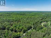 0 BRADY LAKE ROAD | Minden Hills Ontario | Slide Image Nineteen