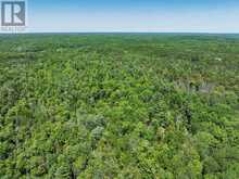 0 BRADY LAKE ROAD | Minden Hills Ontario | Slide Image Five