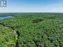 0 KUSHOG LAKE ROAD | Haliburton Ontario | Slide Image Ten