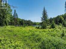 0 KUSHOG LAKE ROAD | Haliburton Ontario | Slide Image Seven