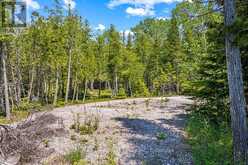 6 ISLAND VIEW ROAD | Lion's Head Ontario | Slide Image Eleven