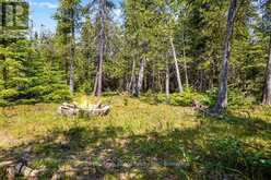 6 ISLAND VIEW ROAD | Lion's Head Ontario | Slide Image Fifteen