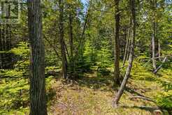 6 ISLAND VIEW ROAD | Lion's Head Ontario | Slide Image Nineteen
