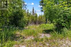 6 ISLAND VIEW ROAD | Lion's Head Ontario | Slide Image Nine