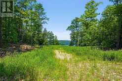 N/A ADELINE TRAIL | Haliburton Ontario | Slide Image Four