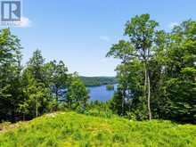 N/A ADELINE TRAIL | Haliburton Ontario | Slide Image Five