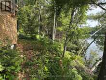 10597 BLACK LAKE WAO | Coboconk Ontario | Slide Image Thirteen
