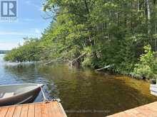 10597 BLACK LAKE WAO | Coboconk Ontario | Slide Image Forty-one