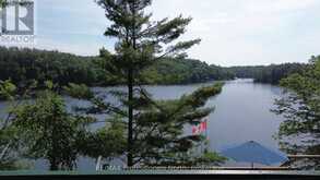 10597 BLACK LAKE WAO | Coboconk Ontario | Slide Image Forty-four