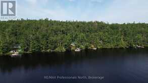 10597 BLACK LAKE WAO | Coboconk Ontario | Slide Image Forty-five