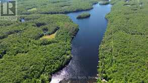 10597 BLACK LAKE WAO | Coboconk Ontario | Slide Image Forty-eight