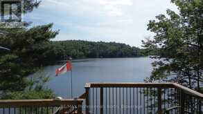 10597 BLACK LAKE WAO | Coboconk Ontario | Slide Image Eight