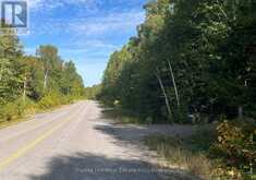 4488 KAWAGAMA LAKE ROAD | Lake of Bays Ontario | Slide Image Ten
